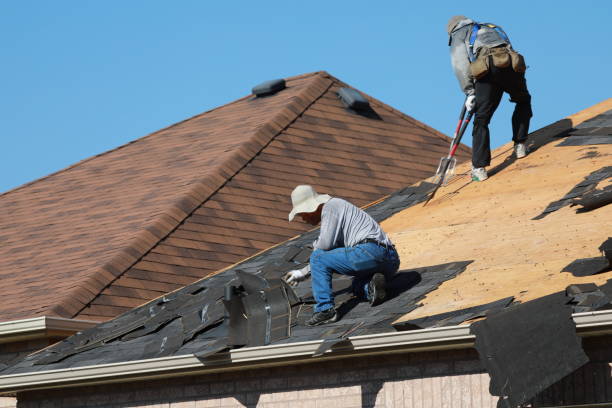 Best Solar Panel Roofing Installation  in Chamberlain, SD