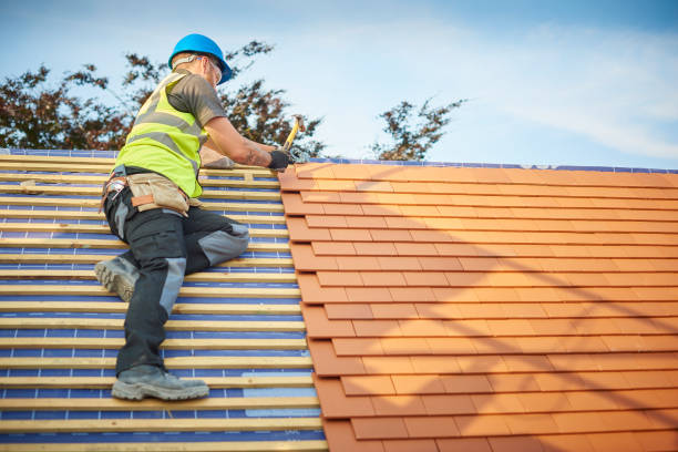 Best Roof Insulation Installation  in Chamberlain, SD